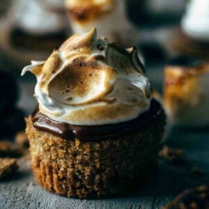 Close up of a toasted s'mores cupcake