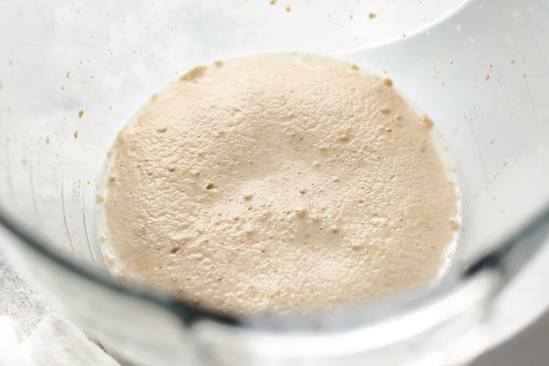 Activated yeast in mixing bowl