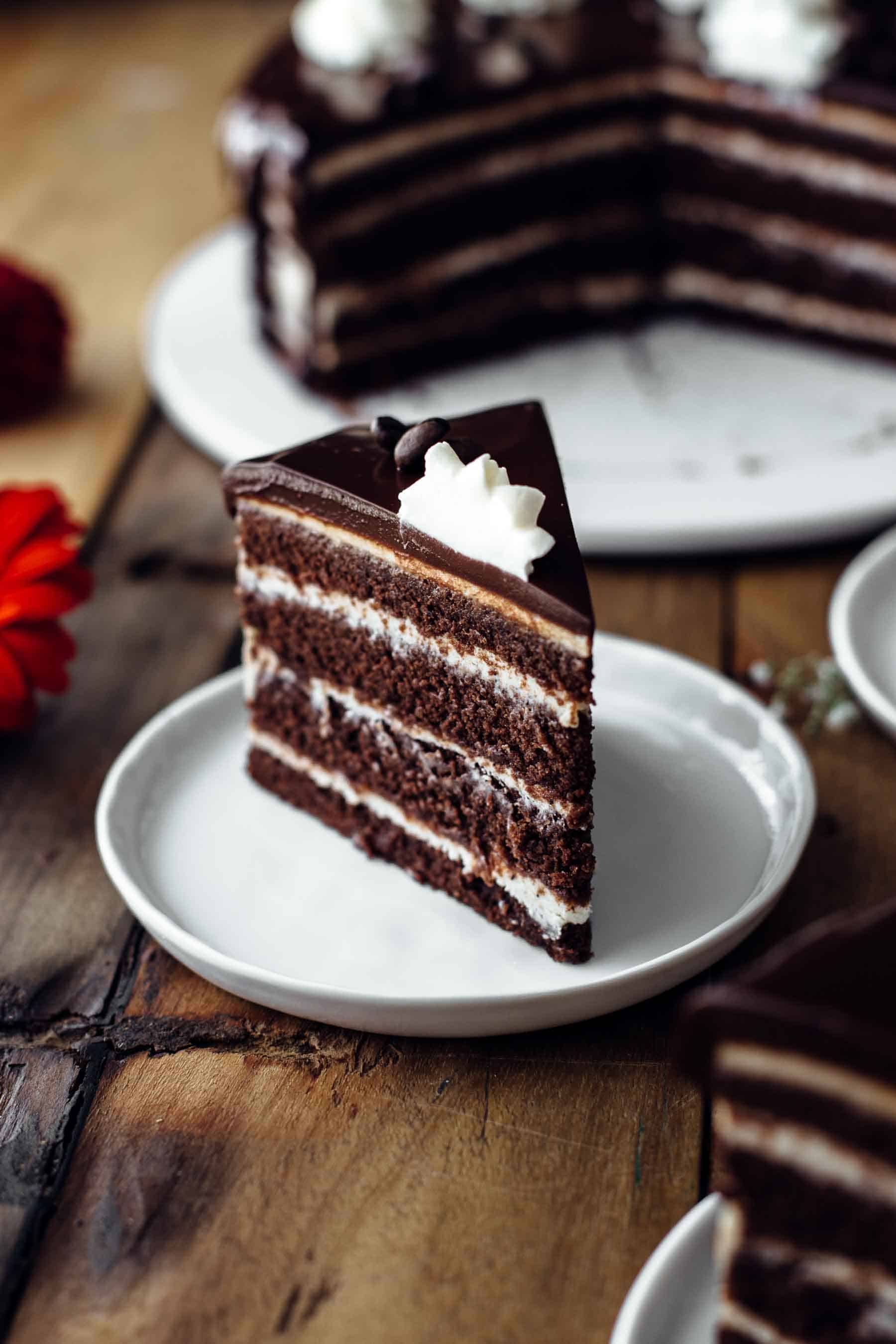 a slice of chocolate layer cake on a white dessert plate