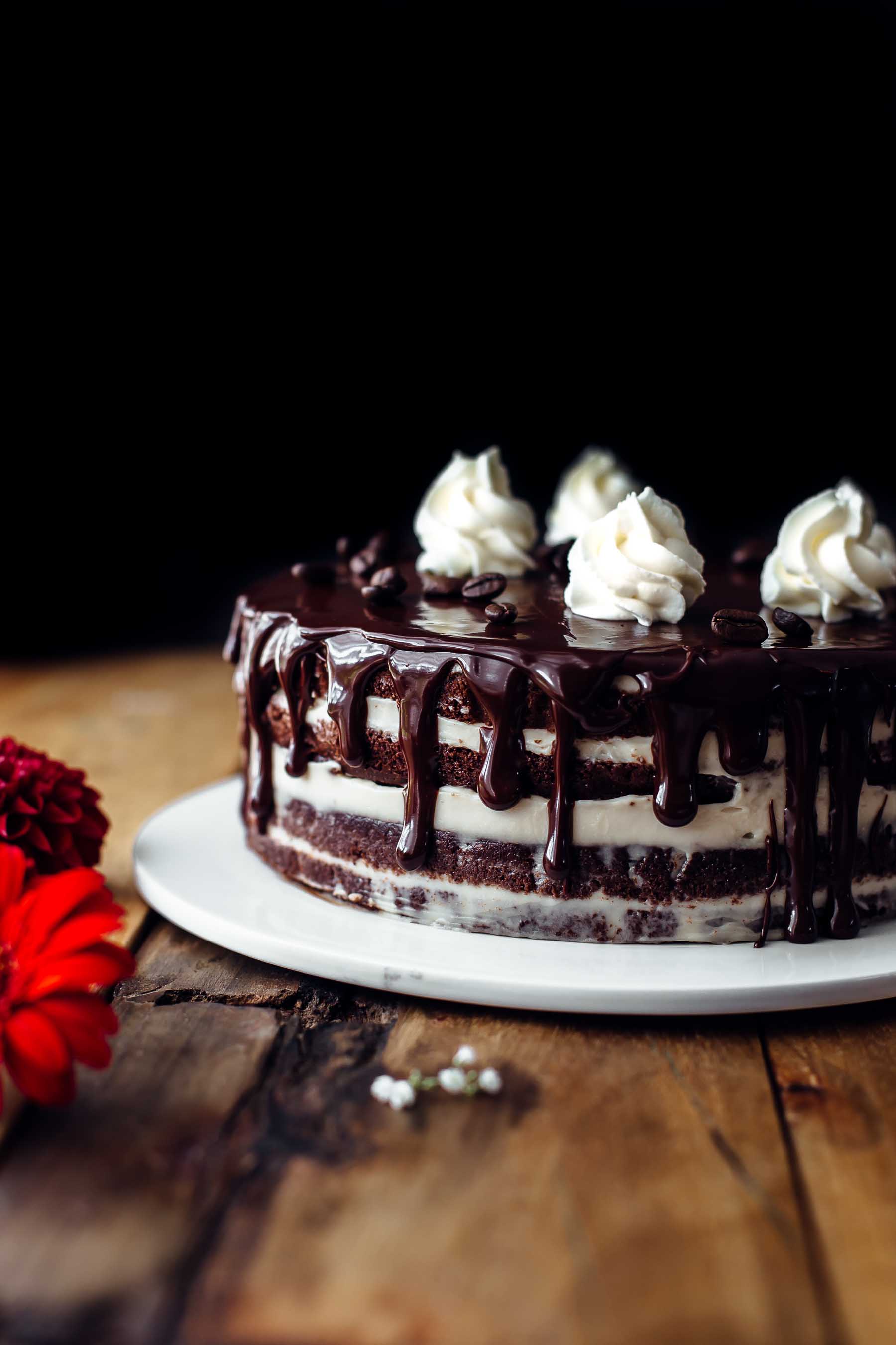 chocolate cake filled with mascarpone frosting topped with ganache and whipped cream
