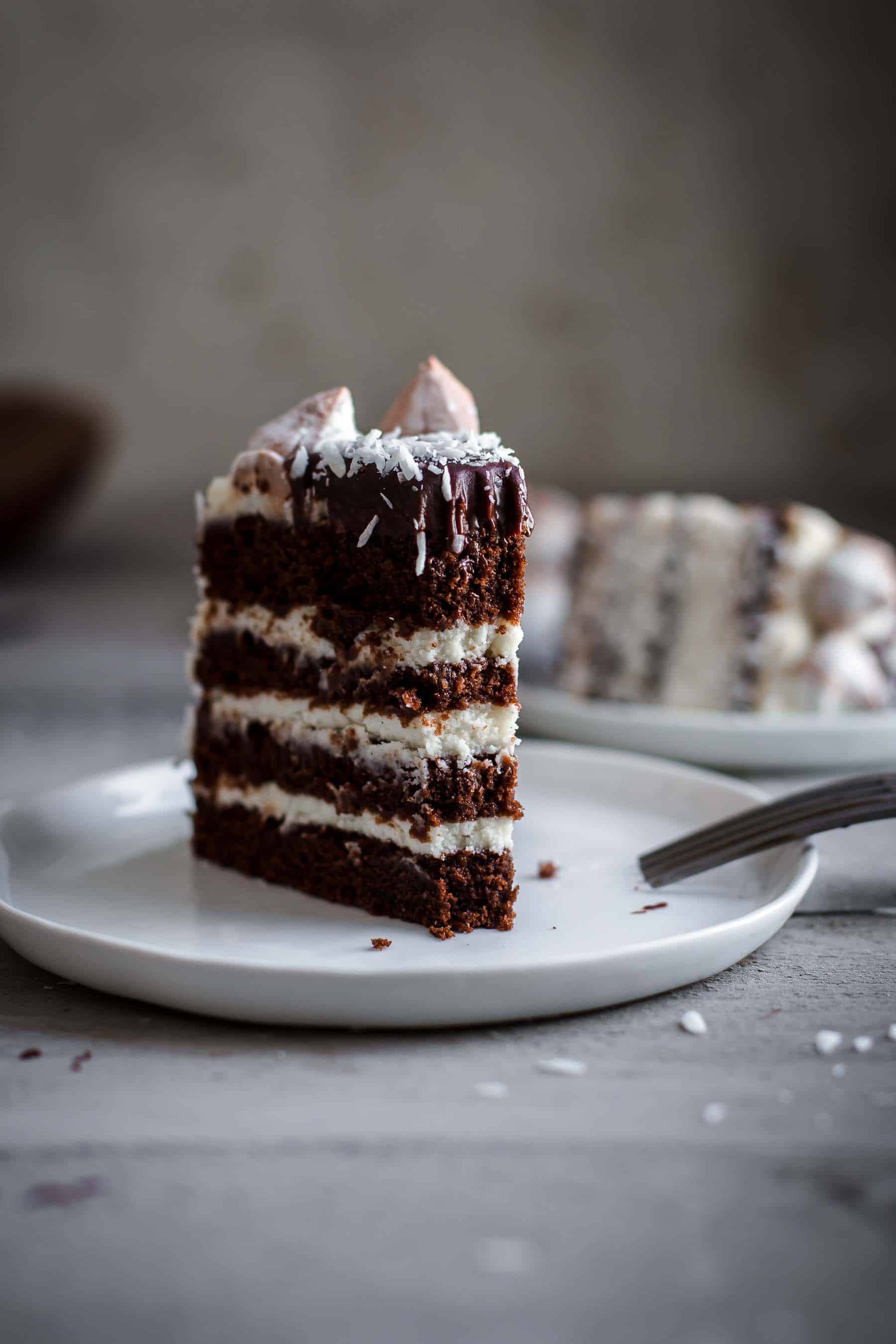 Bitten Coconut Chocolate Cake