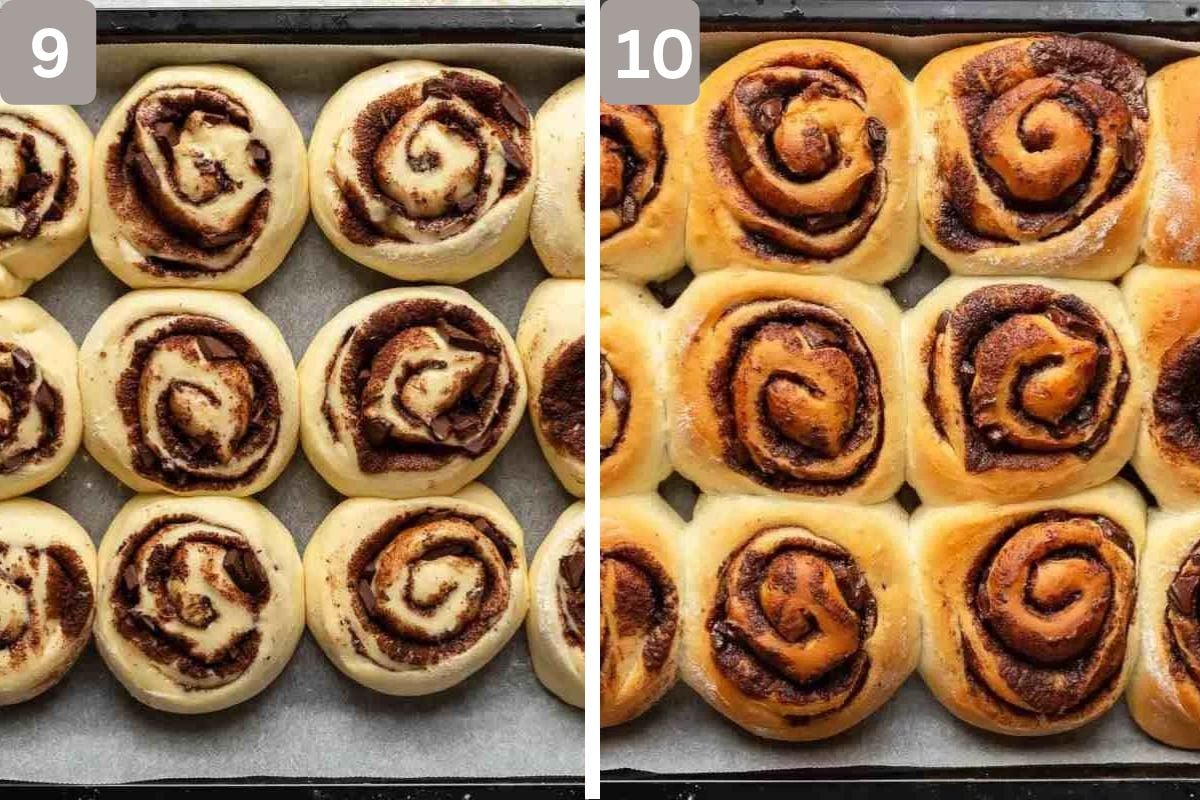 rolls left to rise and baked for a few minutes