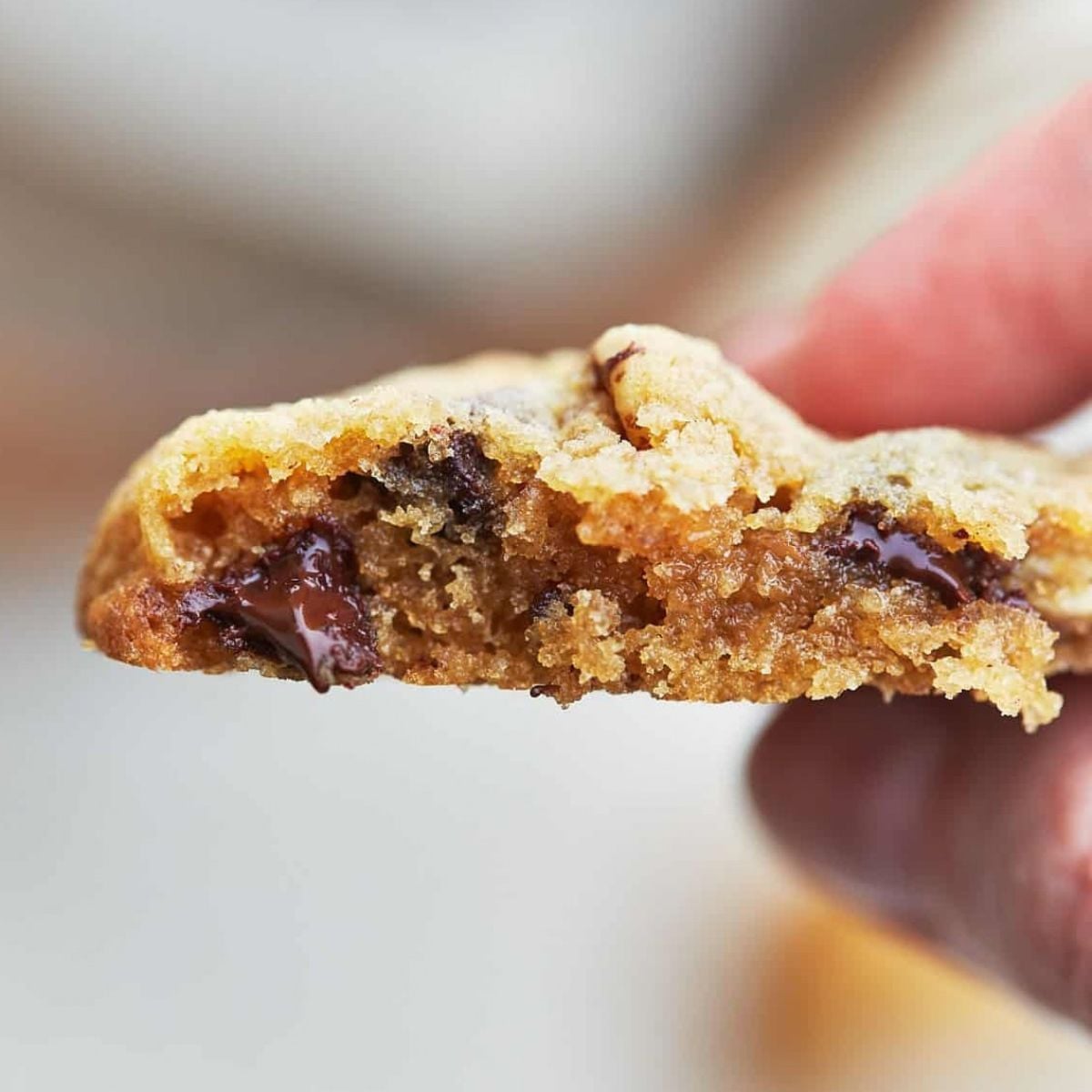 chocolate chip pecan cookies serving suggestions