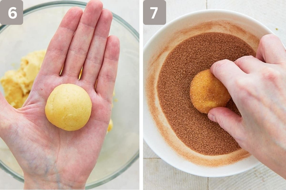 dough rolled into balls and dipped in cinnamon sugar mixture