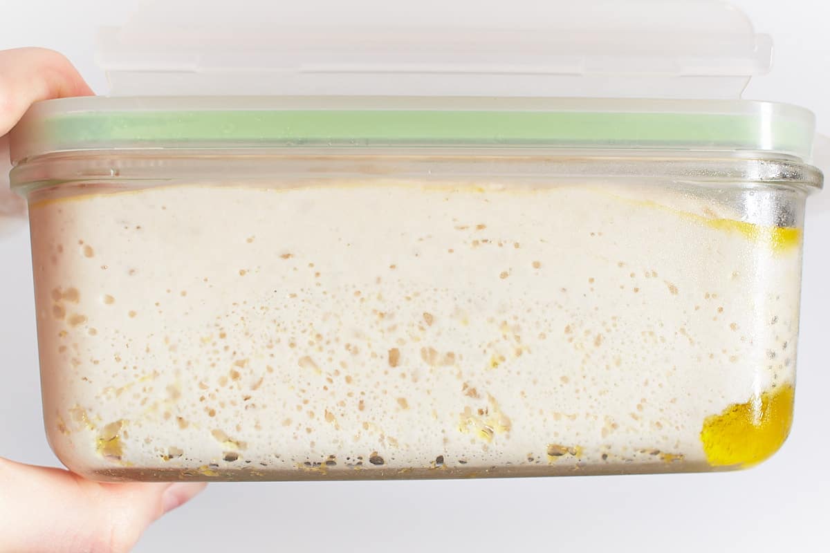 Risen dough in a glass container