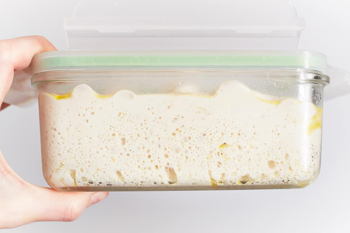 Dough that has risen in a glass container