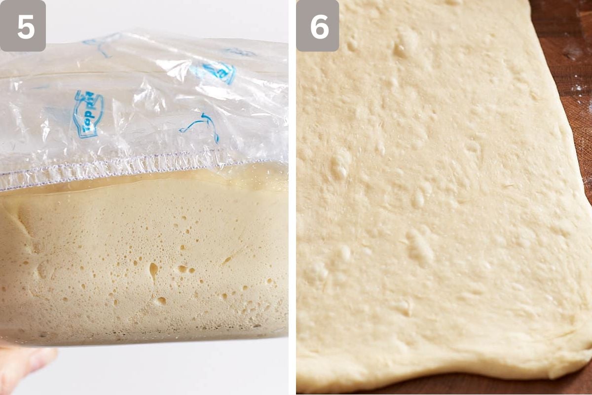 Dough that has risen and then rolled out flat