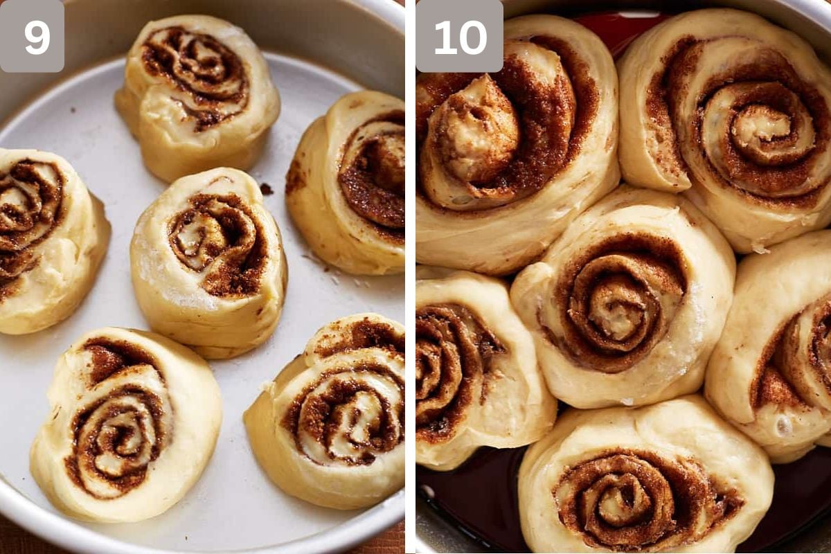 Cinnamon rolls placed apart and left to rise slightly before baking