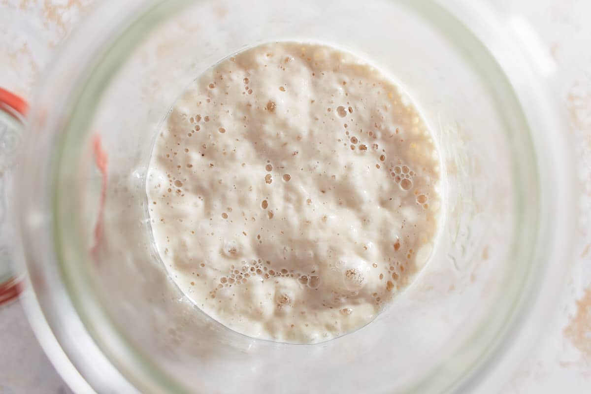 Bubbly flour and water mixture in a jar