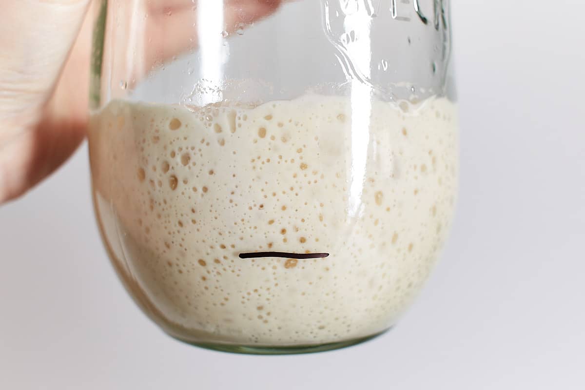 Holding a jar with ripe sourdough starter in the hand