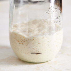 A glass jar half filled with active and bubbly sourdough starter
