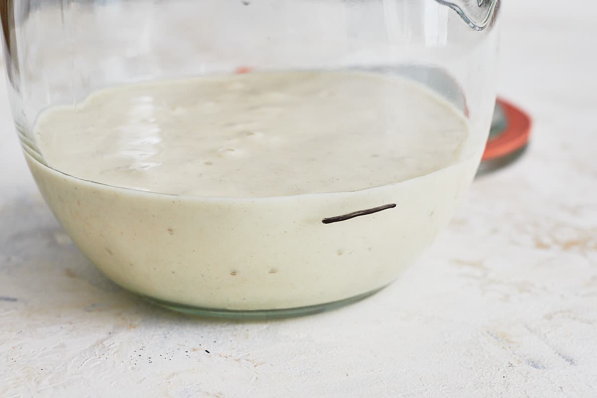Flour and water fermenting in a jar - pre peak