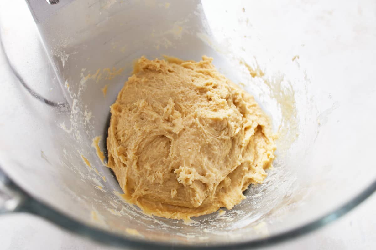 Mixed bread dough in a mixing bowl