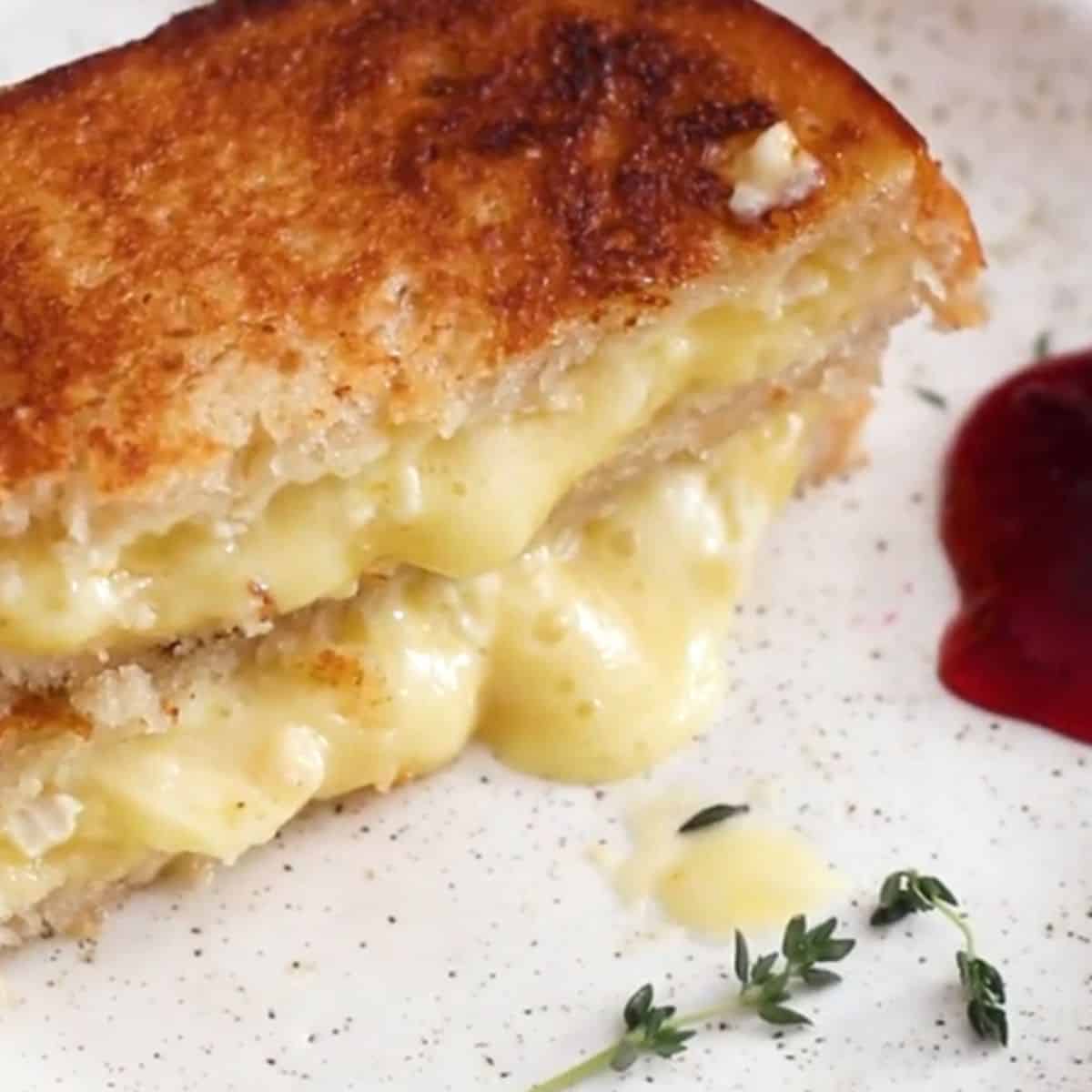 Gourmet grilled cheese cut in half with cheese oozing out on a plate from aa different angle