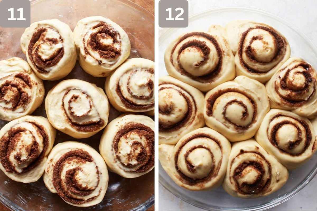 Rolls placed in the baking dish with some space between them, and left to rise some more