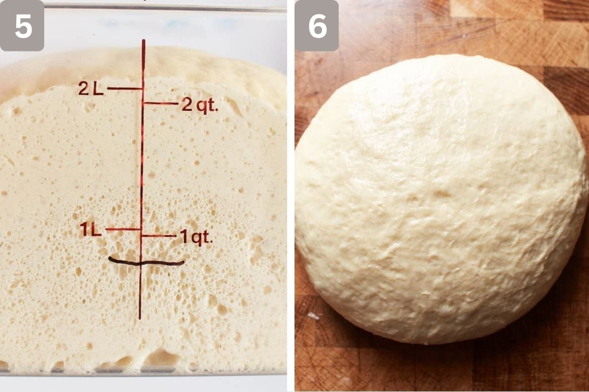 Dough risen after being in fridge and rolled into a ball as per instructions