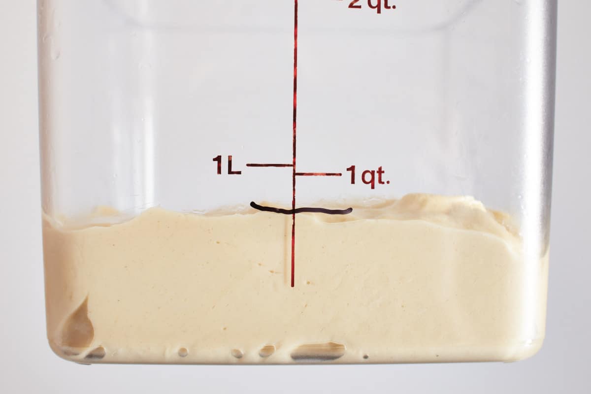 Unrisen bread dough in a container with a height mark