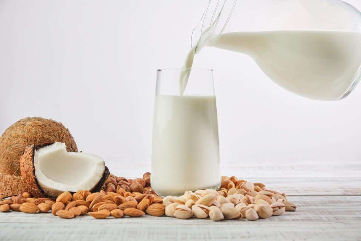 Vegetable milk from different ingredients: coconut, hazelnuts, cashews, pistachios, almonds