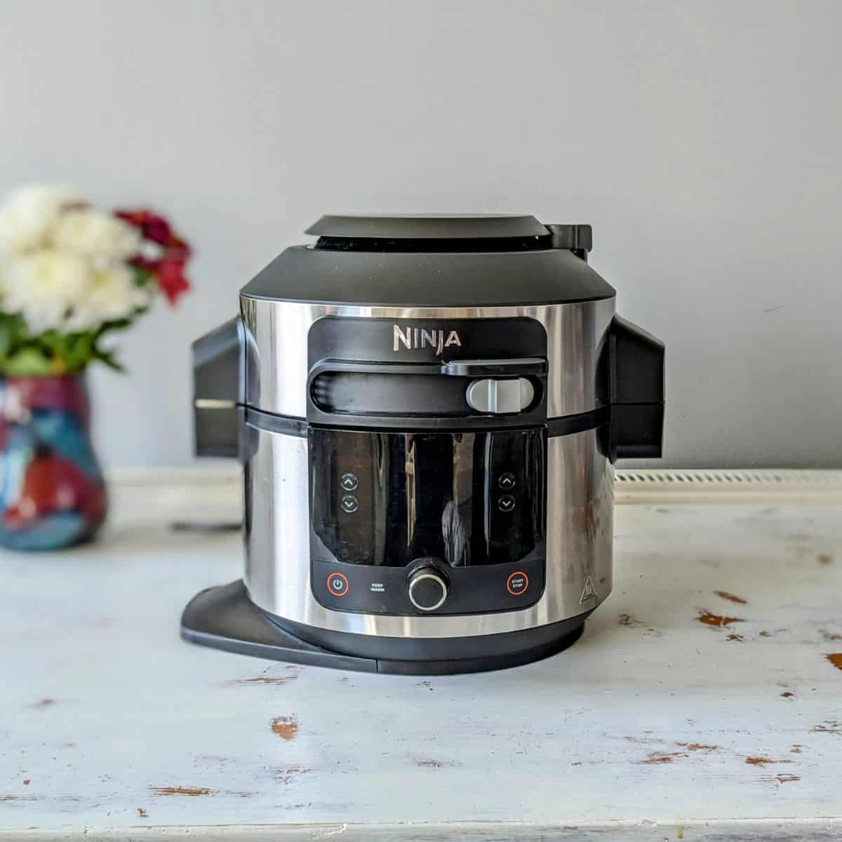 ninja foodi 11-in-1 smartlid multi-cooker review
