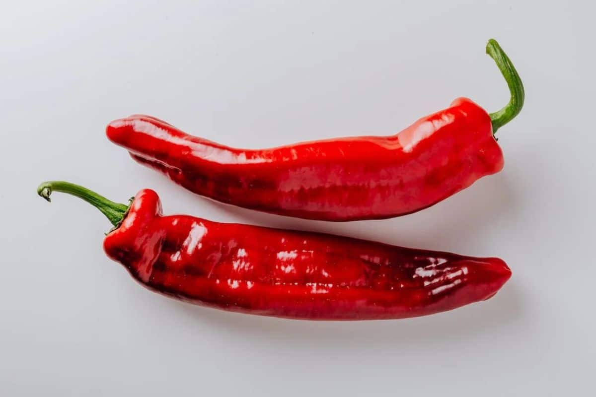 red serrano peppers