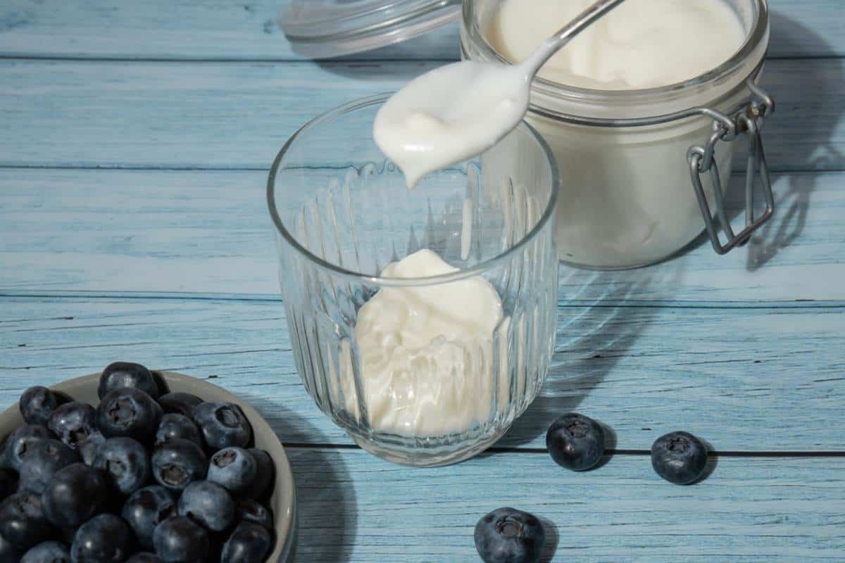 yogurt as a substitute for vegetable oil in brownies
