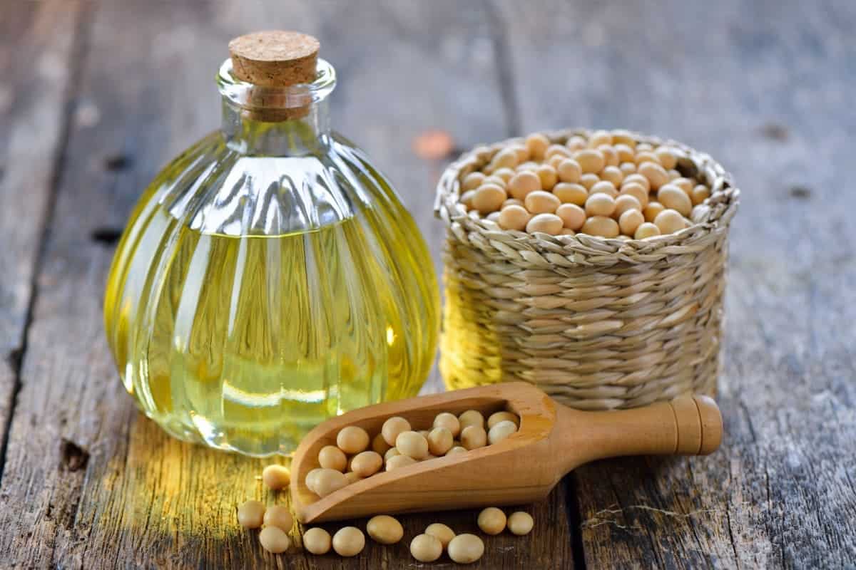 soybean oil