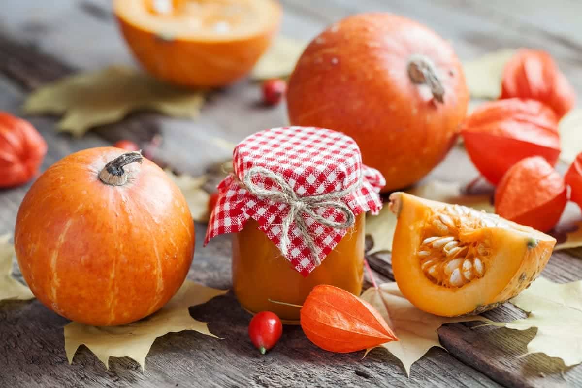 pureed pumpkin