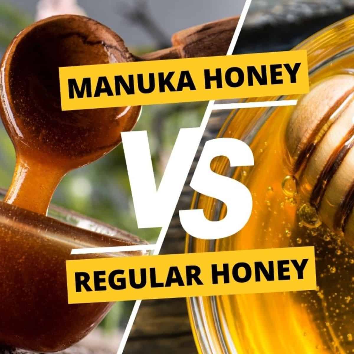 manuka honey vs regular honey