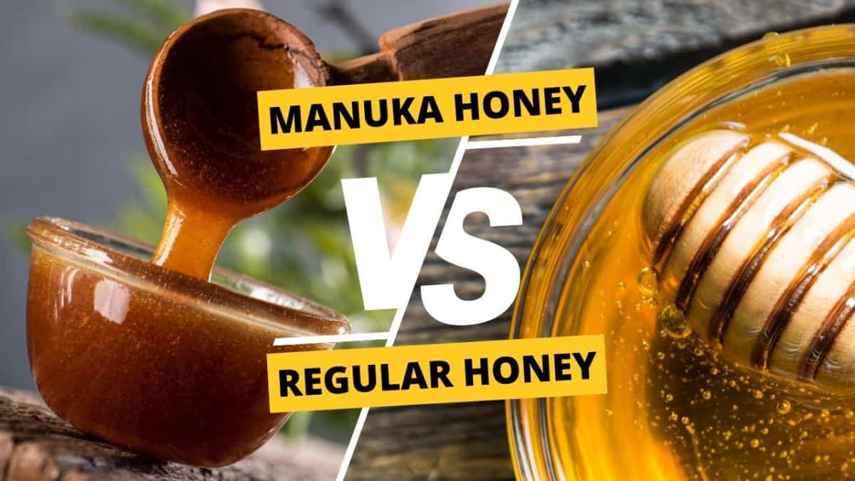 manuka vs regular honey