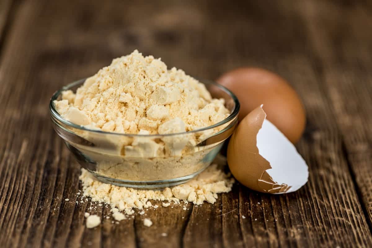 commercial egg substitutes