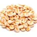 hominy
