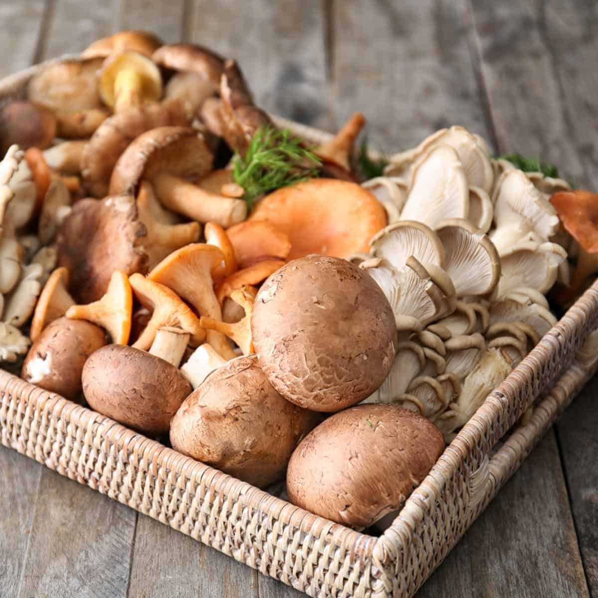 Mushroom Substitutes