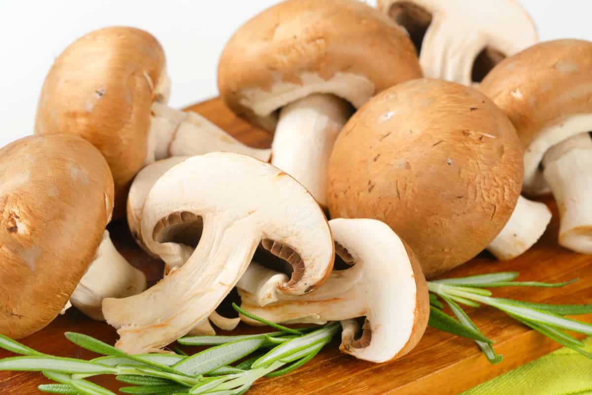 fresh cremini mushrooms