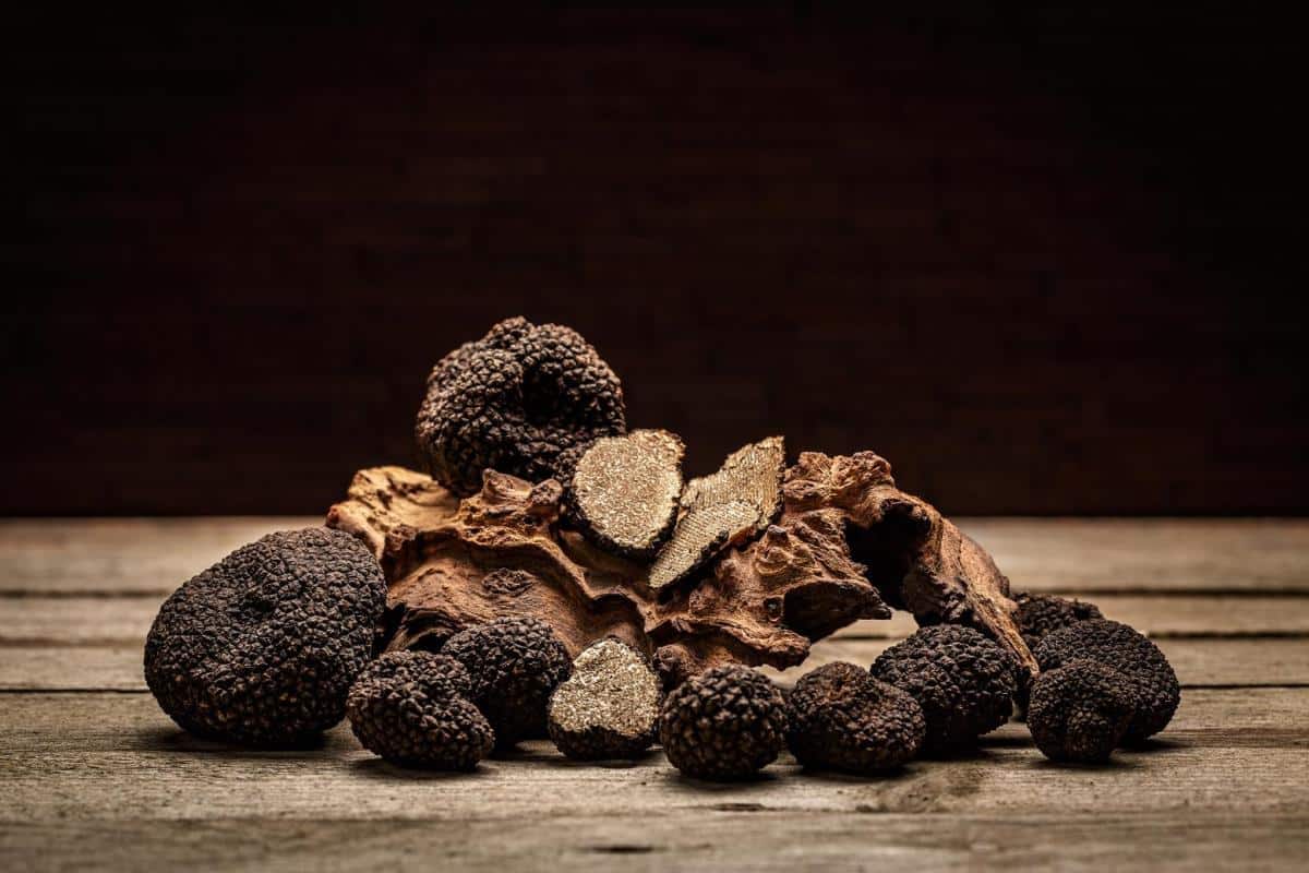 dried truffles