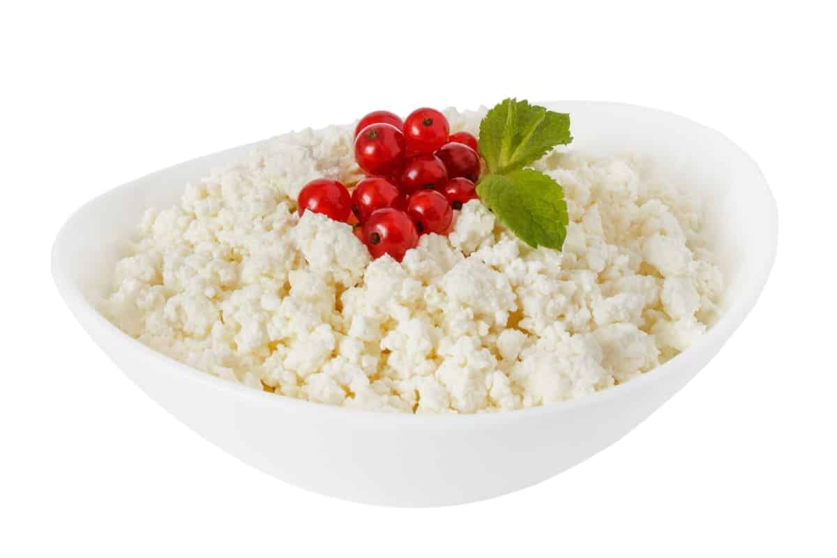 low-curd cottage cheese