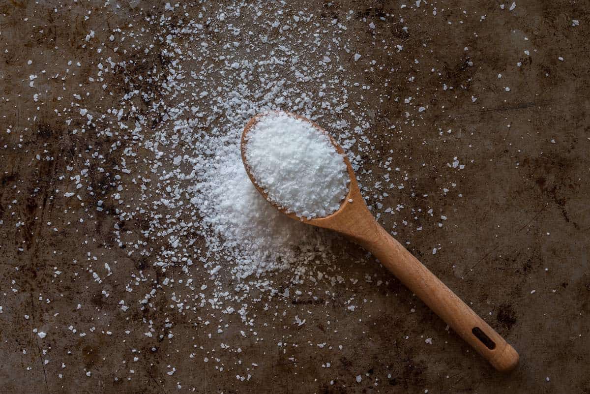 kosher salt in spoon