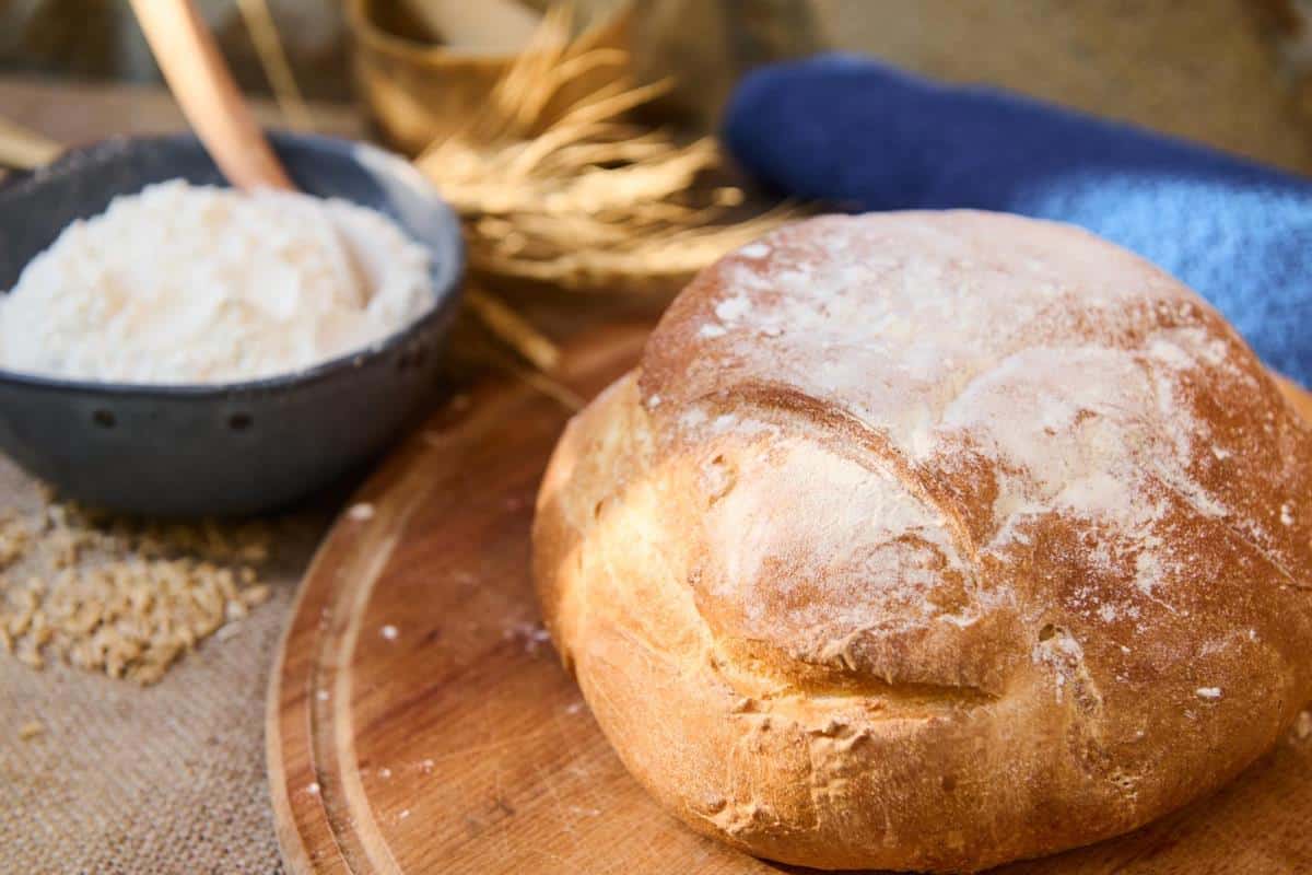 bread flour and bread