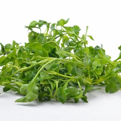watercress substitutes