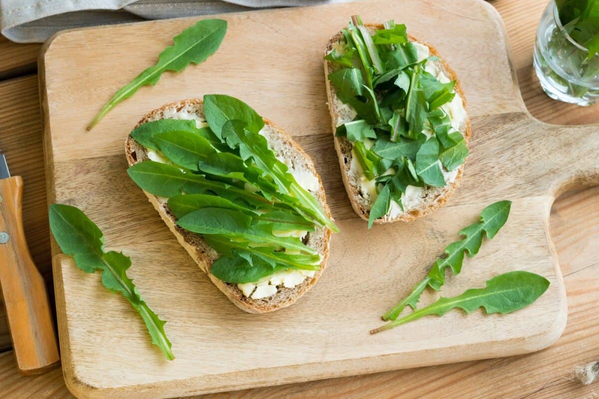 bread with butter and fresh dandelion leaves