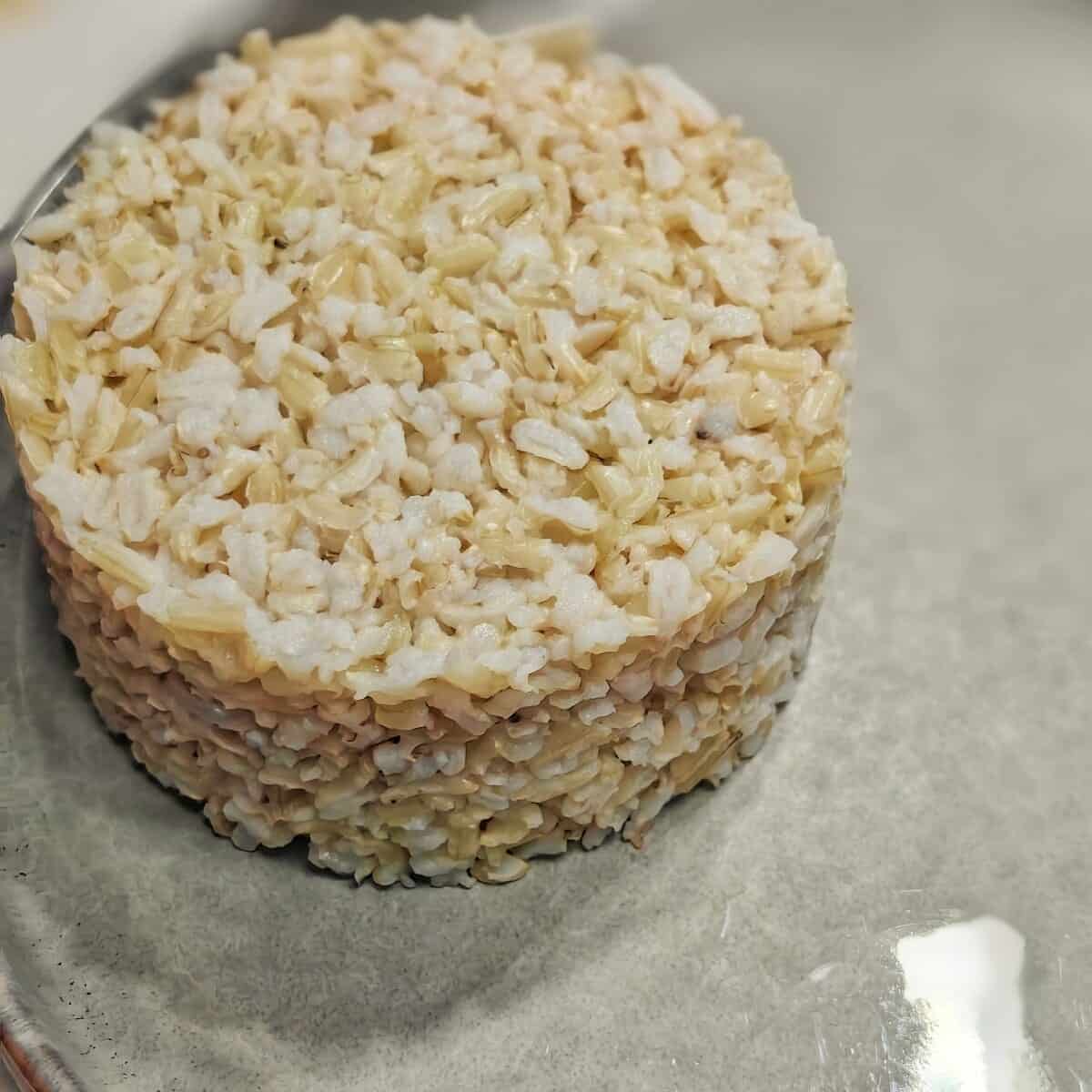 rice on plate