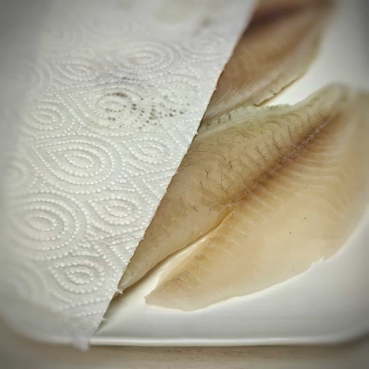 tilapia fillets with paper towel