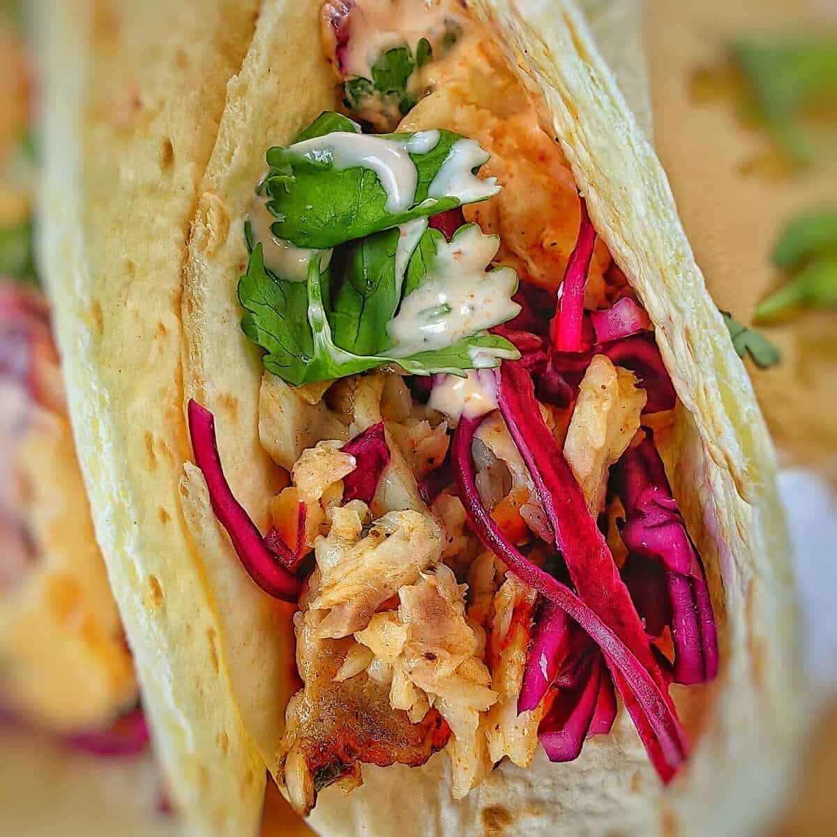 Close up image of a fish taco filled