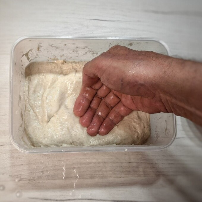 second folding of the ciabatta dough