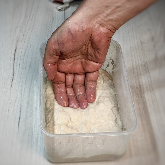 hand on top of the ciabatta dough