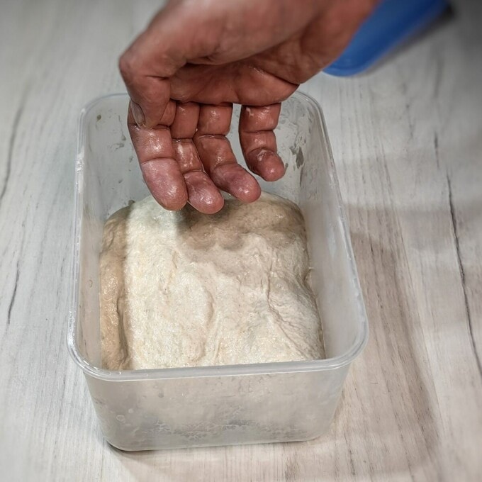 hand on top of ciabatta dough insider plastic container
