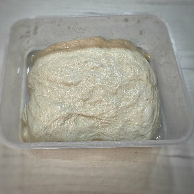 ciabatta dough insider plastic container