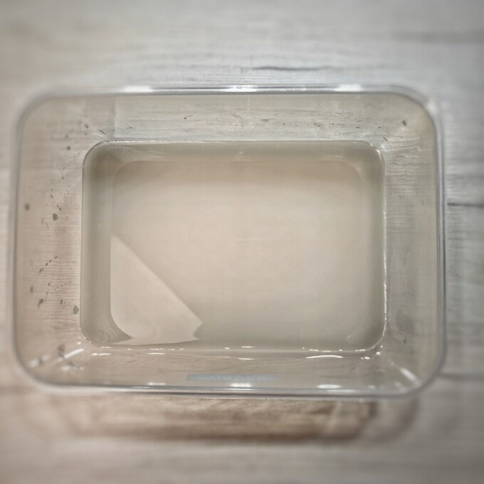sugar, water and yeast mixture in a plastic container