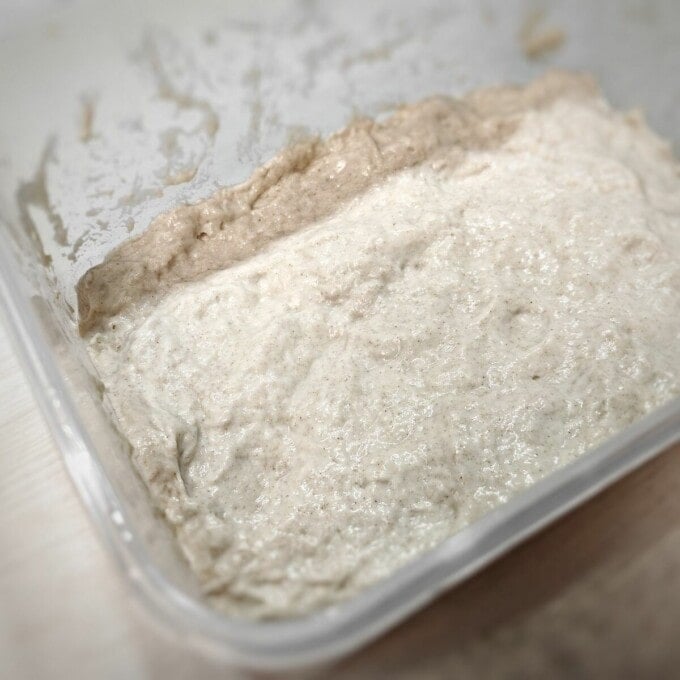 wet dough mixture