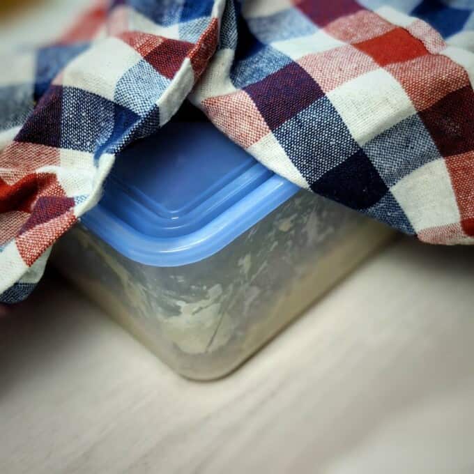 dough in covered plastic container with towel