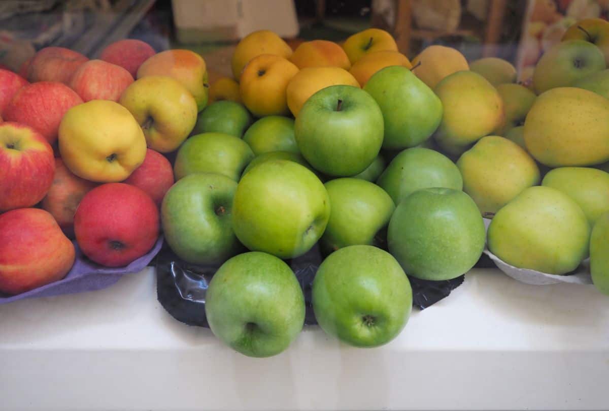 different varieties of apples